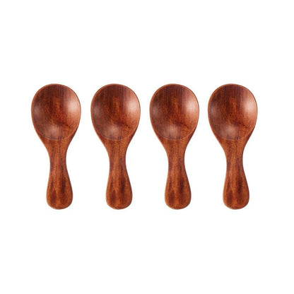 Set of 4 Condiment Spoons